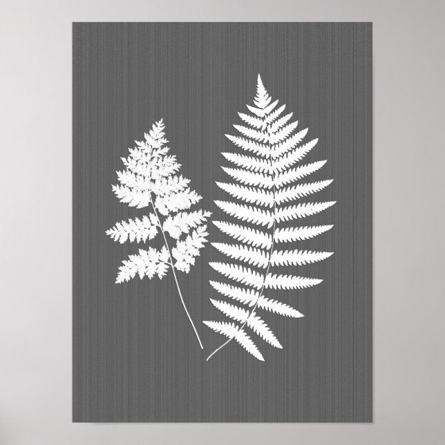 Fern Fronds, weiß auf Holzkohle grau / grau Poster (Vorne)