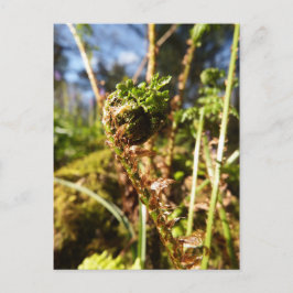 Fern Frontend Postkarte