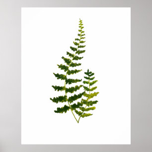Fern Green Blätter Botanische Aquarellnatur Poster