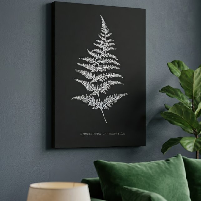 Fern - Gymnogramma Chrysophylla. Röntgeneffekt - 0 Leinwanddruck (Golden Fern Frond, Gymnogramma Chrysophylla. Canvas Print)