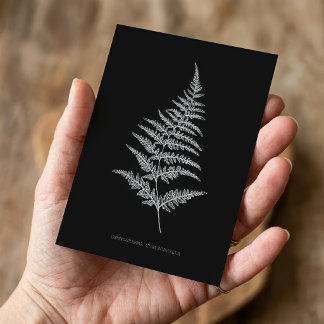 Fern - Gymnogramma Chrysophylla. Röntgeneffekt - 0 Mitteilungskarte