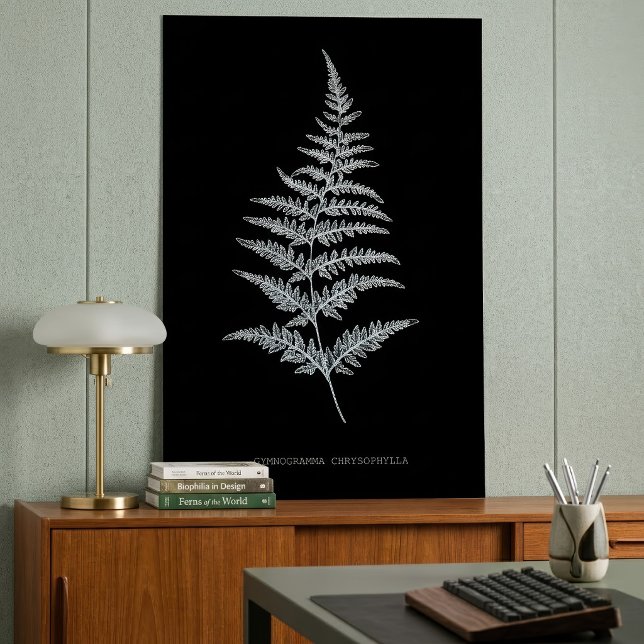 Fern - Gymnogramma Chrysophylla. Röntgeneffekt - 0 Poster (Golden Fern Frond, Gymnogramma Chrysophylla. Poster)