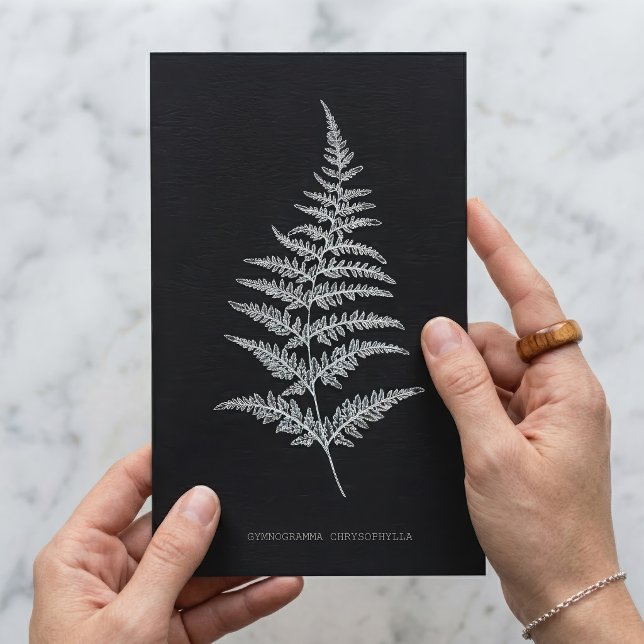 Fern - Gymnogramma Chrysophylla. Röntgeneffekt - 0 Postkarte (Golden Fern Frond, Gymnogramma Chrysophylla. Postcard)