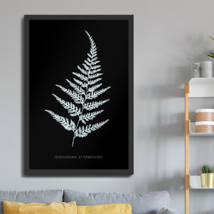 Fern - Gymnogramma L’herminieri. Röntgeneffekt - 0 Poster