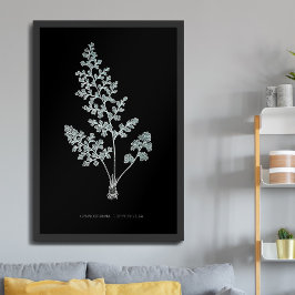 Fern - Gymnogramma Leptophylla - Röntgenwirkung -  Poster