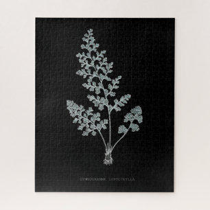 Fern - Gymnogramma Leptophylla - Röntgenwirkung - Puzzle