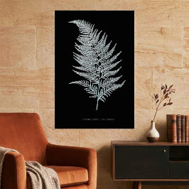Fern - Gymnogramma Ochracea - Röntgenwirkung - 02 Poster