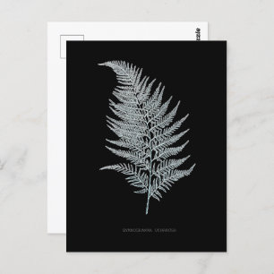 Fern - Gymnogramma Ochracea - Röntgenwirkung - 02 Postkarte