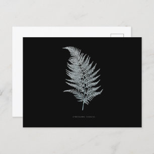 Fern - Gymnogramma Ochracea - Röntgenwirkung - 02 Postkarte
