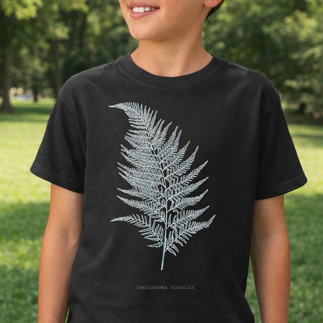 Fern - Gymnogramma Ochracea - Röntgenwirkung - 02 T-Shirt (Ochre Fern Frond, Gymnogramma Ochracea. Boy Basic Black T-Shirt)