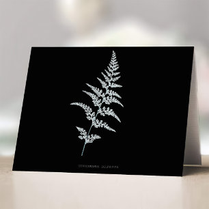 Fern - Gymnogramma Sulphurea - Röntgenwirkung - 03 Dankeskarte