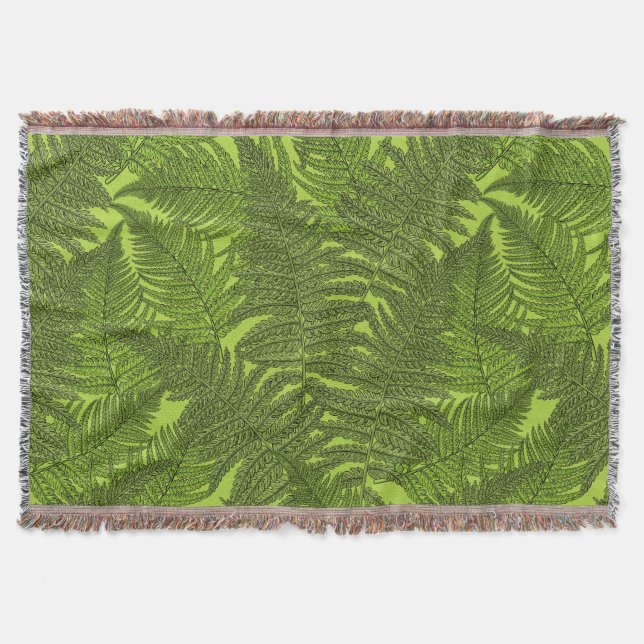 Fern in grün decke (Vorderseite)