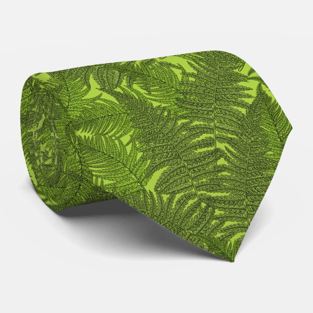 Fern in grün krawatte (Gerollt)
