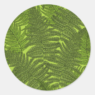 Fern in grün runder aufkleber