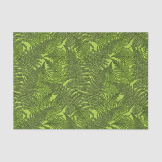 Fern in grün seidenpapier (Vorderseite)