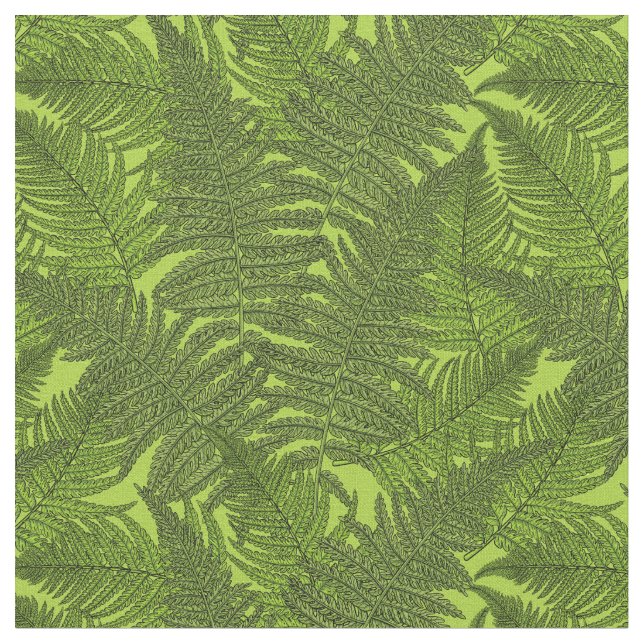 Fern in grün stoff (Nahaufnahme)