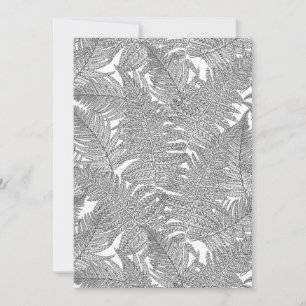 Fern in Schwarz und Weiß