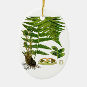 Fern Keramik Ornament