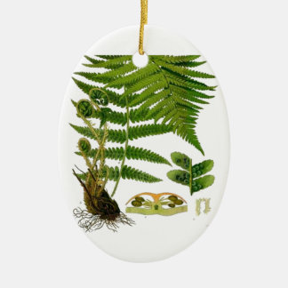 Fern Keramik Ornament