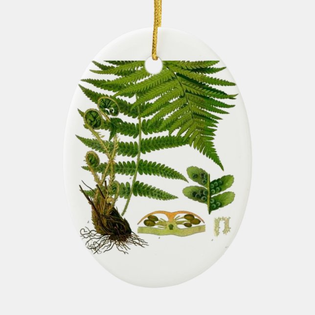 Fern Keramik Ornament (Vorne)