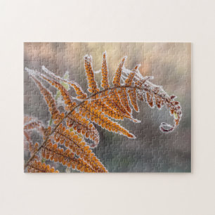 Fern Leaf mit Eisfrost in kalter Winternatur - Puzzle