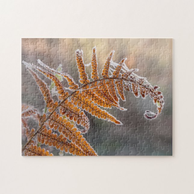 Fern Leaf mit Eisfrost in kalter Winternatur - Puzzle (Horizontal)