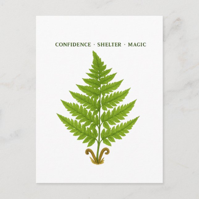 Fern Meaning Postkarte (Vorderseite)
