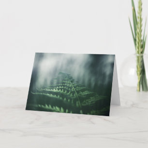 Fern Nature Foto Karte