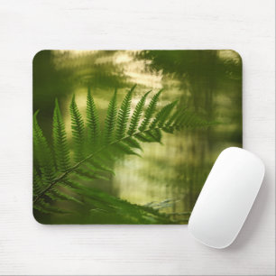 Fern Nature Foto Mousepad