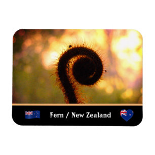 Fern, Neuseeland, Wildnis/Aotearoa Magnet