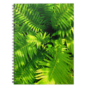 Fern Notizblock