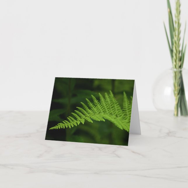 Fern P6597-Karte Karte (Vorderseite)