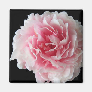 Fern Peony Square Magnet