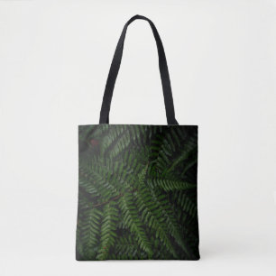 Fern Pflanze