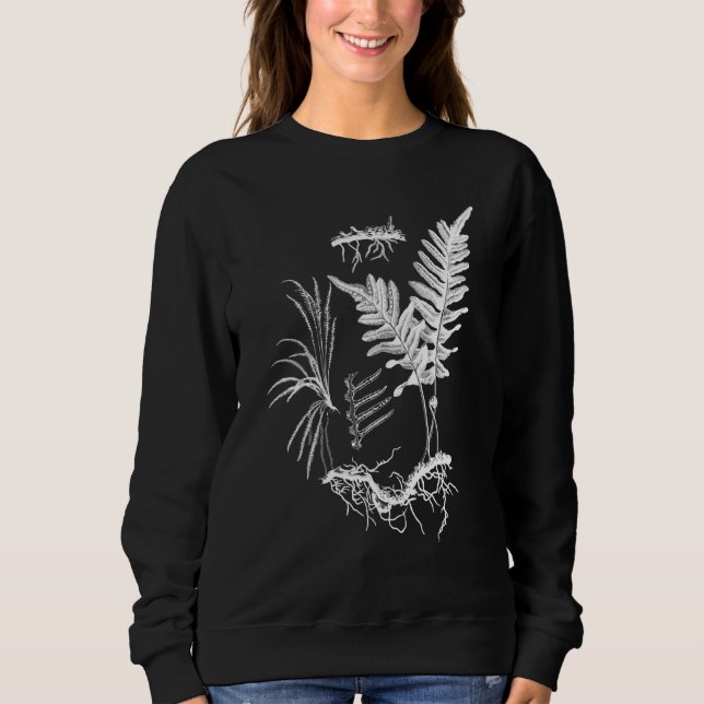 Fern Pflanze Botanische Ferns Illustration Blumenf Sweatshirt (Vorderseite)