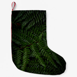 Fern Pflanze Kleiner Weihnachtsstrumpf