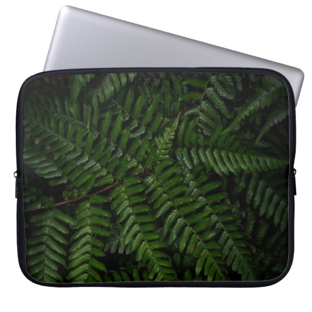 Fern Pflanze Laptopschutzhülle (Vorderseite)