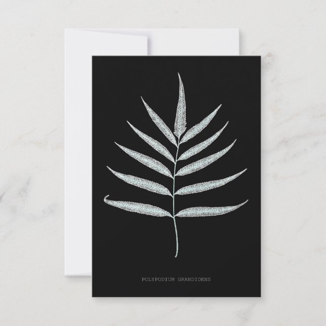 Fern - Polypodyum Grandidens - Röntgenwirkung - 10 Dankeskarte (Vorderseite)