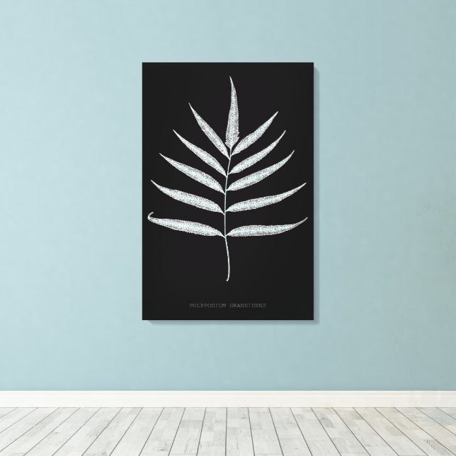 Fern - Polypodyum Grandidens - Röntgenwirkung - 10 Leinwanddruck (Insitu (Holzboden))