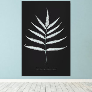 Fern - Polypodyum Grandidens - Röntgenwirkung - 10 Leinwanddruck