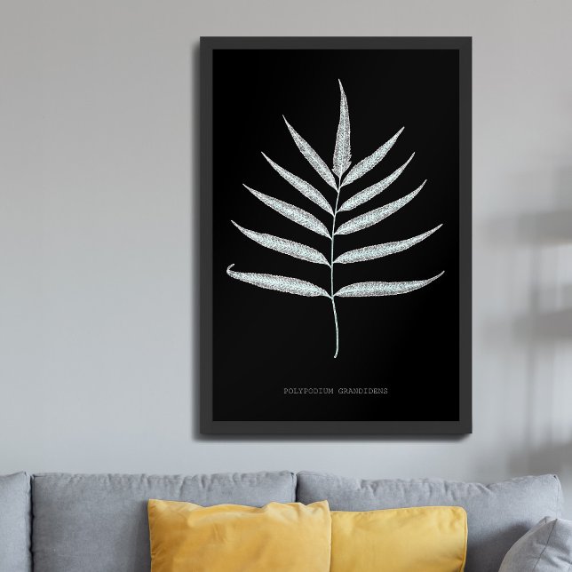 Fern - Polypodyum Grandidens - Röntgenwirkung - 10 Poster (Von Creator hochgeladen)