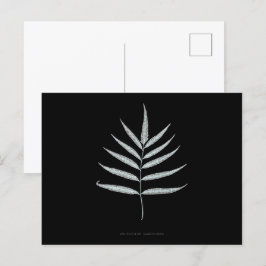 Fern - Polypodyum Grandidens - Röntgenwirkung - 10 Postkarte