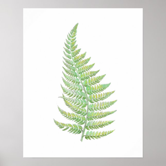 Fern Poster (Vorne)