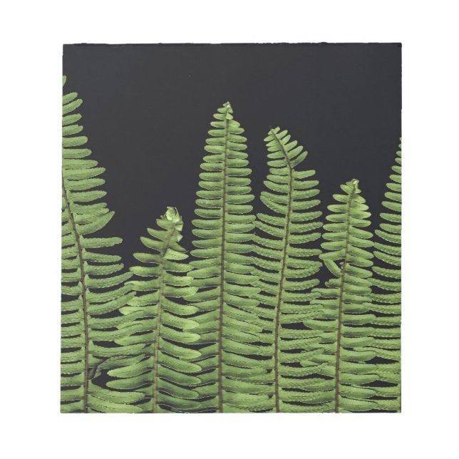 Fern Row Notizblock (Vorderseite)