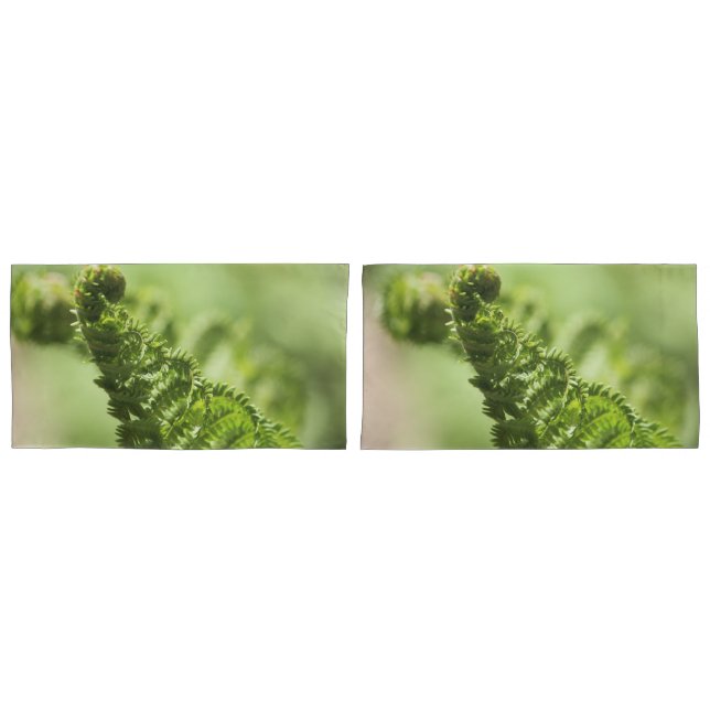 Fern Shams Kissenbezug (Vorderseite-Set)