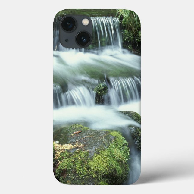 Fern Spring, Yosemite National Park Case-Mate iPhone Hülle (Rückseite)