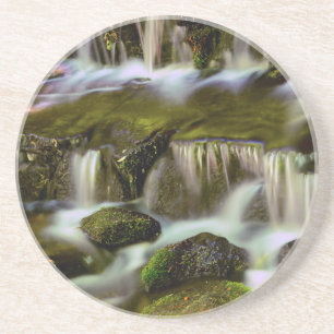 Fern Spring, Yosemite National Park, Kalifornien Untersetzer