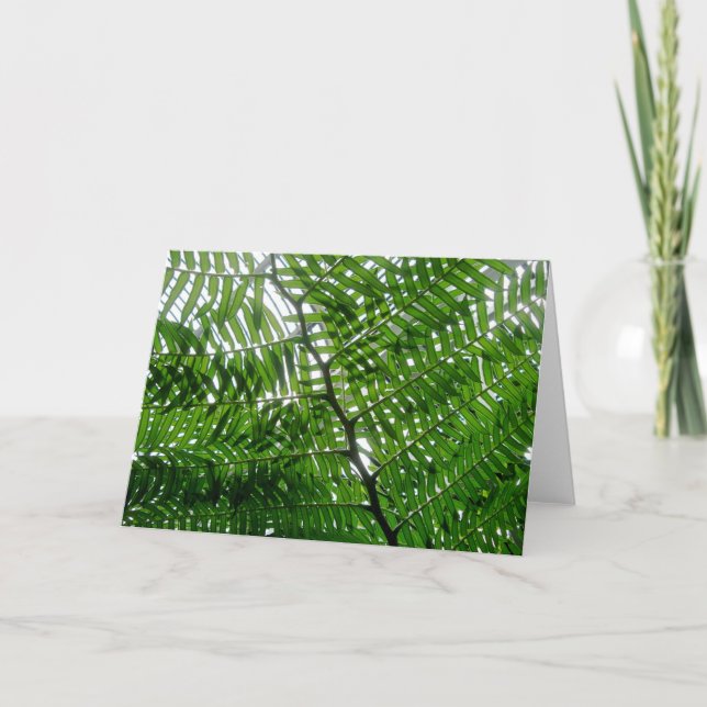 Fern Tree Note Card Karte (Vorderseite)