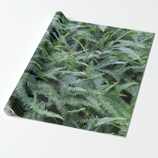 Fern Wrapping Paper Geschenkpapier (Ungerollt)