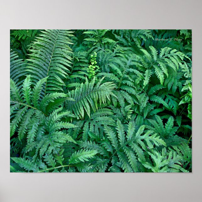 Ferne: Leinwand - Wohnung Poster (Vorne)